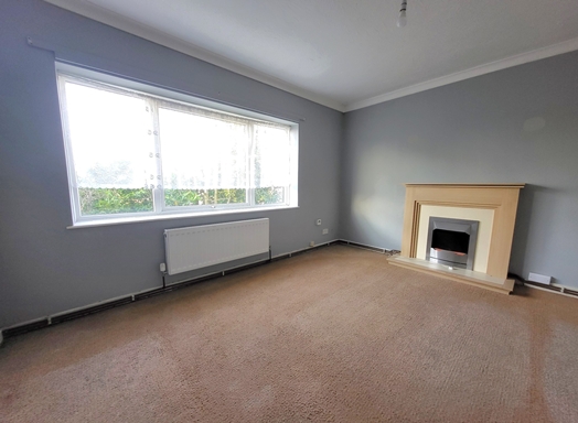 20250327 171158 Resized1