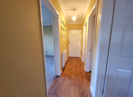 20250327 171351 Resized